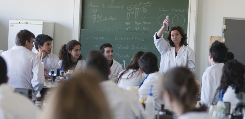 Cursos de verano Complutense