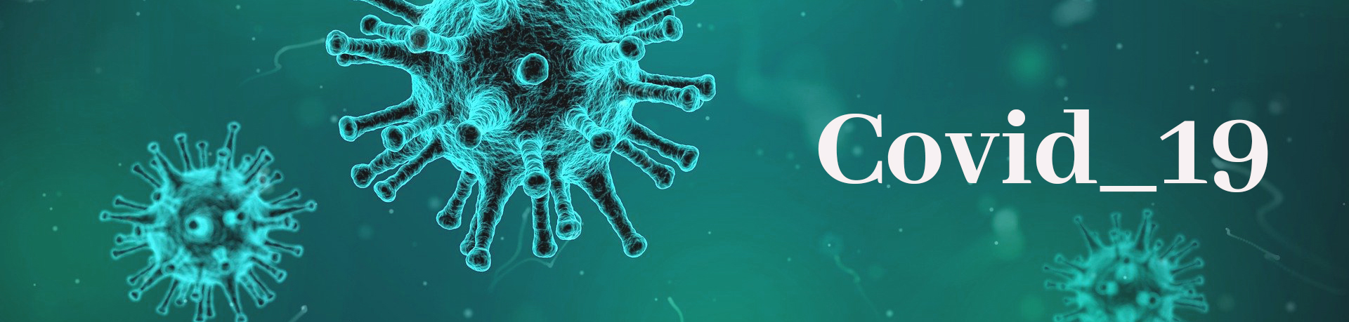 Información Coronavirus
